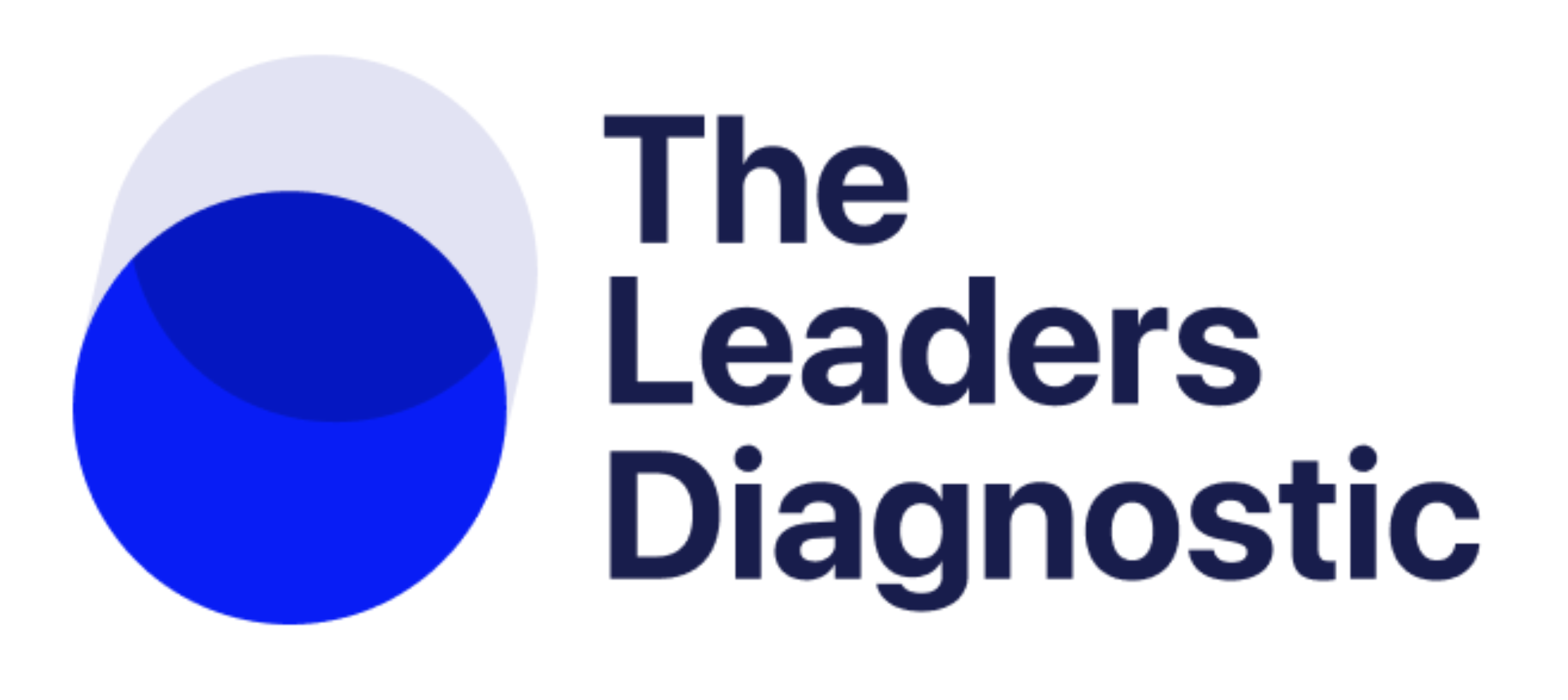 The Leader's Diagnostic